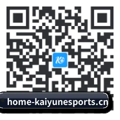 系统版 iOS 二维码